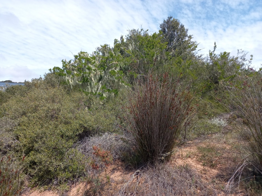 3 Bedroom Property for Sale in Stilbaai Rural Western Cape